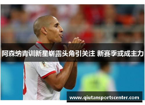 阿森纳青训新星崭露头角引关注 新赛季或成主力 阿森纳青训新星崭露头角引关注 新赛季或成主力